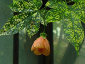 04_1_a_1_s_059.jpg