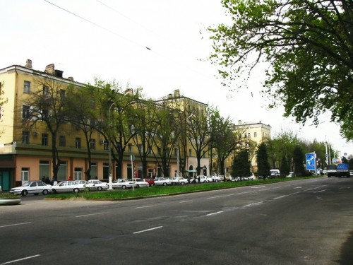 2 здания возле пединститута_2009