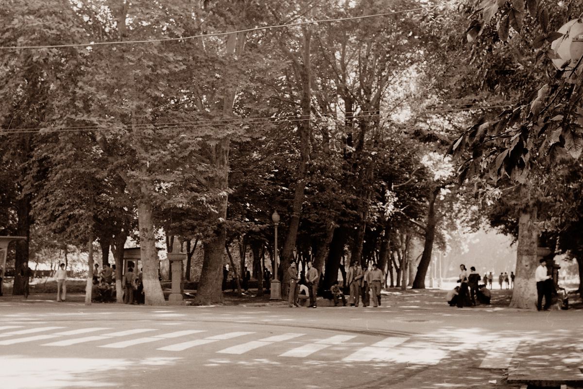 Деревья в ташкенте. Сквер революции в Ташкенте. Сквер Ташкент Чинары. Сквер Ташкент 2000.