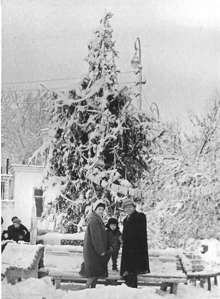 снег в Ташкенте парк перед дворцом пионеров 1961 г.