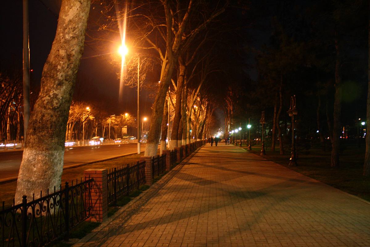 Ташкент вечером. Ташкент ночной парк. Ташкент сквер ночью. Ташкент Центральный парк ночью. Ночной Ташкент Ташкент.