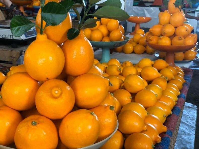 Узбекские лимоны чем отличаются