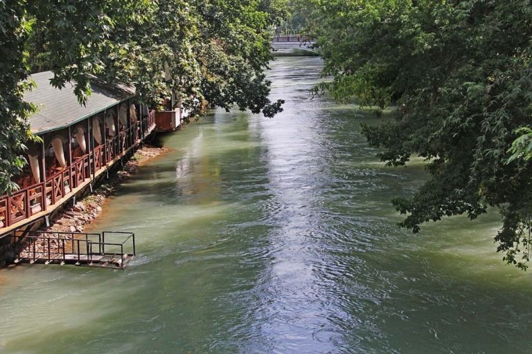 Анхор река в ташкенте фото